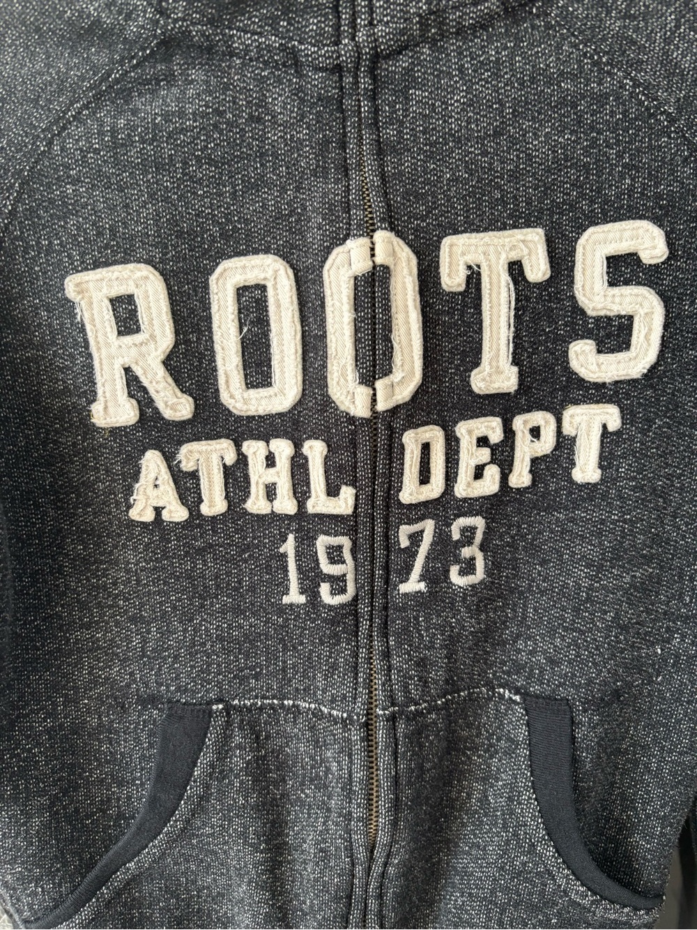 Vintage Roots Athl Dept 1973 Full Zip Hoodie, Unisex, Charcoal - Picture 4 of 10